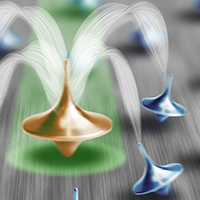 Spin of a defect